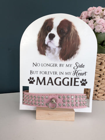 Personalised Memorial Dog Collar Acrylic Stand