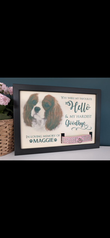 Personalised Memorial Dog Collar Frame Colour